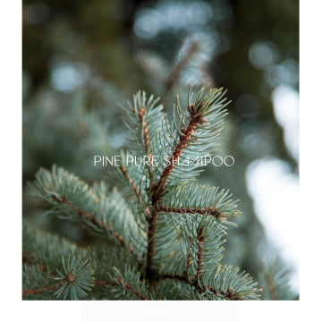 guru 大師松針深層洗髮凝露