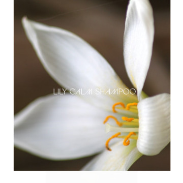 guru 大師百合舒敏洗髮凝露